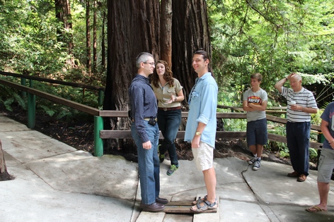 ������� ����